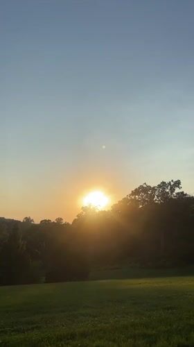Sunset behind the treeline in Bryn Athyn, PA