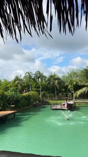 Turquoise pond, tropical greenery, and quirky decor at a Thai retreat