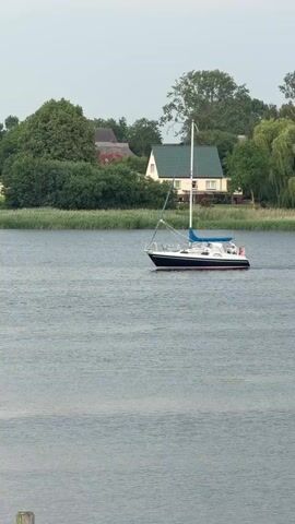 A sailboat with a dark hull and a white cabin is sailing on a body of water. A white mast with rigging extends upwards, and a blue sail is partially deployed. The boat is positioned in the middle of the frame, moving from left to right. In the background, a shoreline is visible, lined with tall green reeds and lush green trees. Behind the reeds, two houses can be seen. One house is light yellow with a green roof, and a smaller, darker building is partially obscured by trees to its left. The sky above is overcast and a pale gray. The water is calm with a slight ripple on the surface. The overall scene depicts a peaceful day on the water with a sailboat in motion near a residential area.