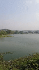 Fishing and leisure at a calm urban lake in Semarang