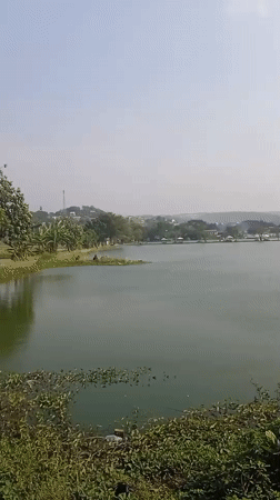Fishing and leisure at a calm urban lake in Semarang