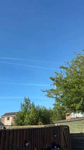 The video shows a clear blue sky with several white contrails from airplanes. Below the sky is a residential neighborhood with houses and trees. In the foreground, there is a wooden fence. The video appears to be shot outdoors on a sunny day. There are no people or animals visible in the video. The camera is static and the video is very short.