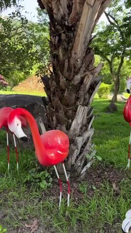The video shows a pathway in a park-like setting adorned with numerous pink flamingo lawn ornaments. The flamingos are placed throughout the grassy areas, among trees and bushes, and along the side of the paved path. The environment is lush and green, with palm trees and other foliage visible. The sky appears to be blue with some clouds, suggesting it is daytime. The camera pans along the path, offering a view of the collection of flamingo decorations.