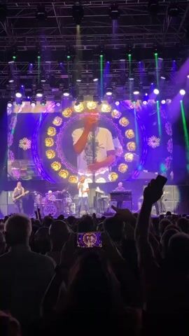 A live concert performance is captured from the perspective of the audience. A band is performing on a stage illuminated by bright purple and green lights. A large screen behind the band displays a psychedelic visual of a man singing within a circular, floral-like pattern. The band members are visible on stage: a singer, a guitarist, a keyboardist, and a drummer. Several audience members in the foreground are holding up their phones to record the performance, their arms raised. The overall atmosphere appears energetic and engaging.