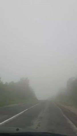 The video shows a view from inside a vehicle driving on a road through a thick fog. The road appears to be paved and has a white line marking the lane. Trees and vegetation are visible on either side of the road, but they are obscured by the fog. The fog creates a hazy, low-visibility environment. A traffic sign with a yellow triangle is visible on the right side of the road. The sky is completely obscured by the fog.