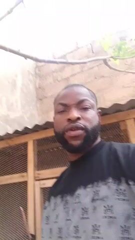 A man is recording a video of himself while standing in front of a chicken coop. The coop is made of wood and wire mesh. The man has a short haircut and a beard. He is wearing a black t-shirt with white designs. He looks directly at the camera and speaks. Behind him is a stone wall and some foliage.