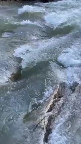 The video shows a rushing river, the water is turbulent and white, suggesting fast movement. There's a rock partially submerged in the water. The video appears to be shot from a stationary position.