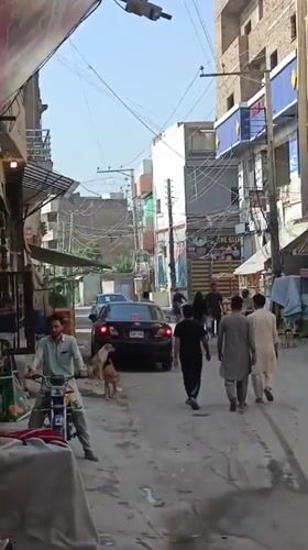 Ordinary domestic life captured across Peshawar during early morning hours