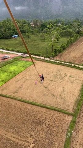The media file shows an aerial view of a rural landscape in Hong Ngern Village, Laos. The primary subjects are a group of people gathered in a dry, cultivated field. They are standing close together, and some appear to be looking upwards. A thin, dark pole extends diagonally from the bottom left corner of the frame, reaching towards the group of people. This pole suggests the perspective is from a high vantage point, possibly a hot air balloon or a very tall structure.

The setting is a picturesque rural scene with several elements. In the foreground and mid-ground, there are agricultural fields, some lush green with rice paddies and others dry and brown, indicating different stages of cultivation. Beyond the fields, there is a dense green forest, and in the distance, large, imposing karst mountains rise, partially shrouded in mist. A dirt road runs through the scene, with a parked white pickup truck visible. Small buildings, including a blue-roofed structure, are scattered amongst the trees.

The activity taking place appears to be a gathering or observation point for the group of people in the field. Their interaction with each other and the surrounding environment is unclear, but their presence in this open area suggests a planned activity.

The time of day appears to be early morning or late afternoon, given the soft, diffused light and the presence of mist around the mountains. The weather seems to be overcast or hazy, contributing to the muted colors of the landscape. The location is clearly rural and mountainous, characteristic of parts of Southeast Asia. No text is visible in the media file. The overall mood is serene and natural, with a sense of scale provided by the vast landscape and the distant mountains.