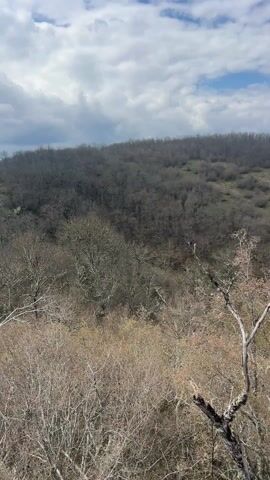 The video shows a view of a forest from a high vantage point. The forest appears to be in early spring as most trees are still bare, with only a few showing early signs of budding. The landscape is hilly. In the distance, a small village can be seen nestled among the trees. The sky is partly cloudy, with patches of blue visible between the clouds. The camera pans slowly across the scene, offering a wide view of the forested area.