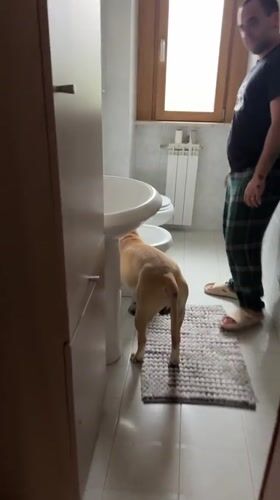 Man cooks dinner while dog roams house in Aprilia