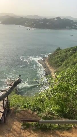 A vertical video captures a coastal landscape with a bay and lush green hillsides. In the foreground, a section of a wooden railing and a bench are visible on a dirt path, partially obscured by dense green foliage. To the left, a fallen, weathered tree trunk lies on the edge of the cliff, pointing towards the sea. The ocean water is a vibrant turquoise, with white waves crashing against a rocky shoreline and a small inlet. Beyond the inlet, the bay is calm, dotted with a few boats. The opposite shore of the bay is lined with a town or resort area, with buildings nestled into rolling, tree-covered hills that fade into a hazy horizon. The sky is a clear, pale blue, with a subtle haze near the horizon, suggesting either sunrise or sunset.