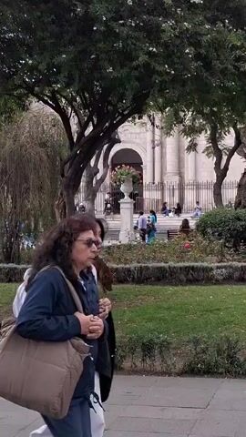 The video shows a public square with a large building in the background. The building is light-colored with an arched entrance and a wrought iron fence in front of it. People are sitting on the steps of the building. In the foreground, there is a tree and a grassy area with small plants. A brown dog is walking through the grass. Several people are walking on the sidewalk in the foreground, including a woman with a tan bag, a couple, and another woman with a brown bag. The weather appears overcast.