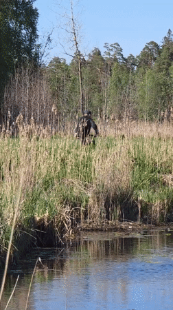 Nature walk documented in Gatchina forests and waterways