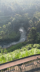 Morning scenes captured at scenic Ubud tropical landscape