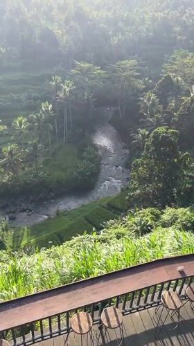 Morning scenes captured at scenic Ubud tropical landscape
