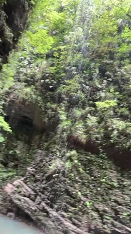 The video shows a natural environment with dense green vegetation, a rock face, and a stream. At first, the camera focuses on a stream of water falling from above. As the camera pans up, it reveals a lush, verdant forest. The camera then moves to show a wooden boardwalk path that runs alongside a stream. Several people are walking along the boardwalk. The stream is rocky and the water is clear. The environment is shaded and the overall impression is one of tranquility and natural beauty.