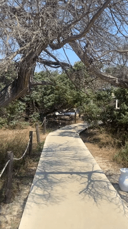 Rocky Sardinian coastline with paths, statue, and open sea