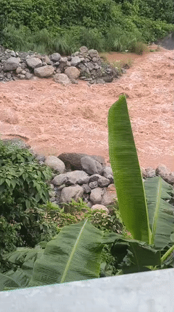 Swollen, debris-filled river cuts through Dharamshala's forested hills