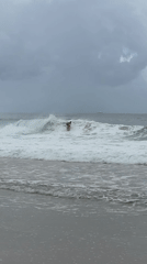 Ordinary afternoon unfolds on Rio beaches and shops