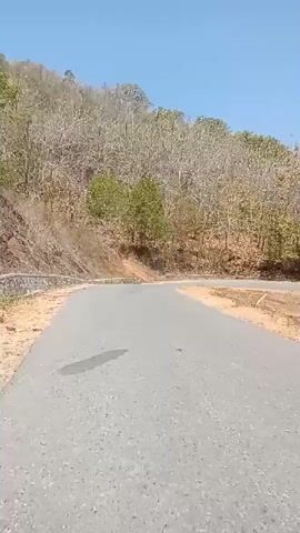 The video shows a paved road winding through a dry, hilly landscape under a clear blue sky. The terrain is covered with sparse vegetation, including dry grasses and trees with bare branches, suggesting a dry season. On the left side of the road, a retaining wall is visible. As the camera pans, the road curves sharply. In the distance, a small, simple structure made of wood and corrugated metal is seen on the side of the road, with a concrete structure that appears to be a water reservoir nearby. Further in the background, there is a plantation of palm trees and other vegetation, with some buildings and houses scattered among them, hinting at a rural settlement. The overall impression is of a remote, arid, and somewhat underdeveloped rural area.