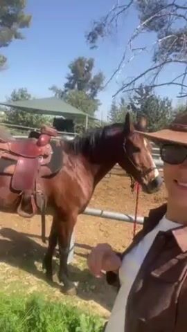 A person wearing a cowboy hat and sunglasses stands outside next to a brown horse saddled in a pen. The person is wearing a white t-shirt and a brown jacket and is holding the camera. There are trees and a covered area in the background. The day is sunny.
