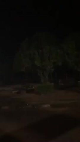 The video shows an outdoor scene at night, starting with a dark view of trees. The camera then pans to reveal a building with a covered walkway and steps leading up to an entrance with glass doors. The lighting is dim, suggesting nighttime, with some artificial lights illuminating the area. The environment appears quiet and still. There are no people visible in the video.