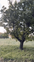 Dawn landscape filmed in Bulgarian countryside near Sliven