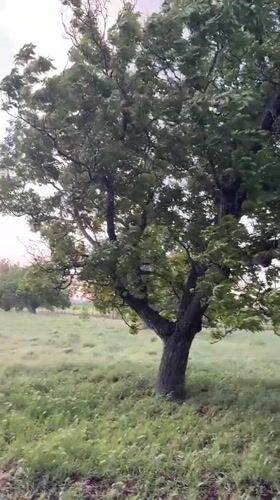 Dawn landscape filmed in Bulgarian countryside near Sliven