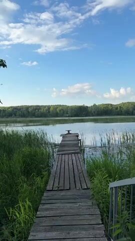 A weathered wooden pier extends into a calm lake surrounded by tall green grass and trees under a blue sky with scattered white clouds. A small red boat is visible in the distance on the lake. The video is shot from a low angle looking down the pier towards the water.