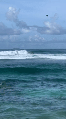 Beach activities documented at Goviyapana, Sri Lanka coastline