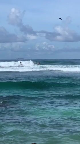 Beach activities documented at Goviyapana, Sri Lanka coastline