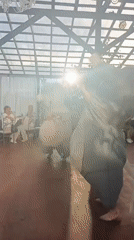 Wedding dancing with inflatable elephant costumes under a pergola