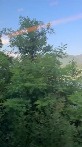 The video is a first-person perspective of a blurry landscape shot from a moving vehicle. The scenery consists of lush green trees and vegetation, with a hint of blue sky and clouds in the background. There are orange streaks across the frame, suggesting reflections on a window. The motion blur indicates that the camera is in transit, likely a car or train. The overall impression is of a natural, possibly rural or mountainous, environment.