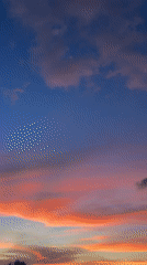 Colorful sunset observed over บ้านบางรักษ์, Thailand