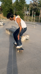 Tattooed skateboarder practices tricks at Madrid skate park evening