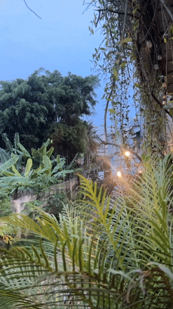 Twilight train and person observed in Nha Trang