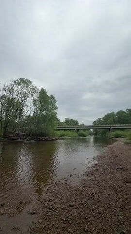 The video begins with a ground-level view of a muddy bank near a body of water surrounded by lush green trees. The camera then shifts to a woman holding the camera in selfie mode. She is standing on a rocky and muddy shore next to a river. She is wearing a navy baseball cap, a black puffy vest, and a red and blue plaid shirt. She has her hair in a long braid. In the background, there is a river with trees lining the banks, and a bridge can be seen in the distance. The woman looks at the camera and smiles. A black dog runs past her.