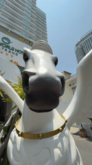 Tourist documents early morning Nha Trang cafe visit, hotel statue