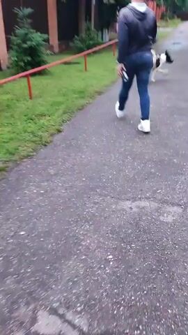 A person wearing a dark hooded jacket and blue jeans walks along a paved path. The person is holding a leash attached to a black and white dog. A smaller black and tan dog is also on the path, a short distance in front of the person and the larger dog. The dogs are walking on the path. To the left of the path is a grassy area with some green bushes and a red railing. To the right of the path is more of the paved path and some trees in the background. The ground appears wet, suggesting it may have recently rained or is raining.