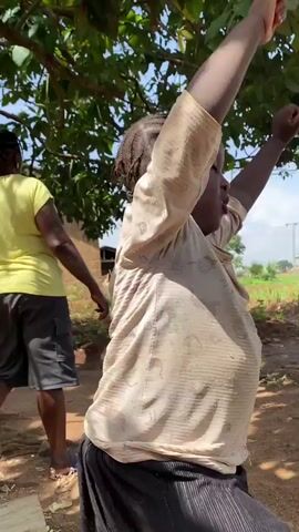In a daytime outdoor setting, under a tree with lush green foliage, a young child with braided hair is dancing. The child is wearing a light-colored, long-sleeved shirt with visible holes and dark-colored pants or a skirt.

Initially, the child is seen from behind, moving their arms with enthusiasm. Another person in a yellow shirt and dark shorts is partially visible in the background, walking away. The main child then turns to face the camera, raising their hands in the air with a focused or joyful expression, before bringing them together to clap. The ground is dirt, and in the background, there are hints of a brick structure and green fields under a bright, sunny sky. The child appears to be enjoying the movement.