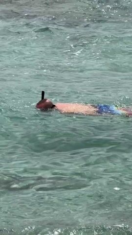 A person is snorkeling in clear turquoise water. They are wearing a red snorkel mask and multi-colored swim trunks. The person is floating on their stomach, with their arms extended to the sides, and their legs submerged. The water is calm with small waves gently lapping at the shore. The sun is shining, illuminating the water and the person.