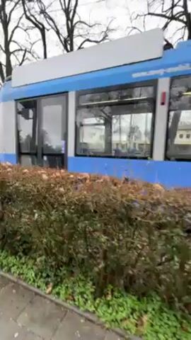 The video shows a light blue and gray tram traveling along a street. The tram passes behind a row of bushes and trees. The sky is overcast. The camera moves as the tram passes.