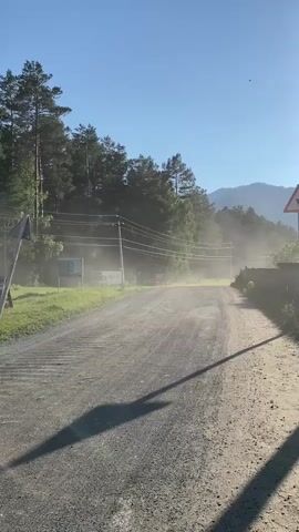 The video shows a dirt road with trees on the sides and a clear blue sky. Dust is rising from the road, indicating that a vehicle may have just passed or is approaching. The sun is shining, casting long shadows on the road. There are power lines overhead and a few signs along the side of the road. The overall impression is of a rural, natural setting.