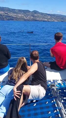 The video shows four people on a boat, gazing out at the ocean. The boat appears to be a catamaran, with blue netting stretched across the deck where the people are sitting. The person closest to the camera is wearing blue pants and a dark sweatshirt, and they have long, blond hair. Next to them is a man wearing white shorts and a black tank top, with his arm around the person in the blue pants. To their right is a young man in a red t-shirt and dark shorts, and he is holding a cell phone up as if taking a picture. To the far left is a person in a dark sweatshirt and blue shorts. In the distance, there is land, which appears to be an island, with houses visible along the coastline. The ocean is a deep blue, and there are dark shapes visible in the water, which may be dolphins or whales. The sky is clear and bright.