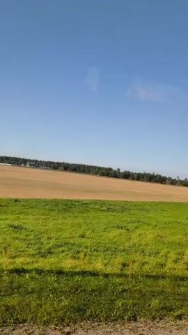 The video shows a view from a moving vehicle looking out at a rural landscape. The foreground is a blur of green grass and what appears to be the edge of the road. In the middle ground, there are several trees, some with green foliage and others with bare branches. Beyond the trees are fields of varying shades of green and tan. In the distance, there is a treeline and a clear blue sky. The sun is shining, indicating it is daytime. There are no people or distinct objects visible in the scene other than the natural elements.