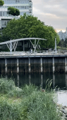 Vancouver waterfront scenes captured by witnesses during morning hours