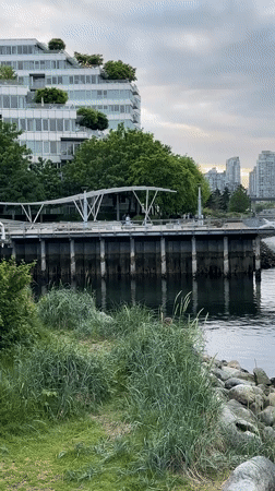 Vancouver waterfront scenes captured by witnesses during morning hours