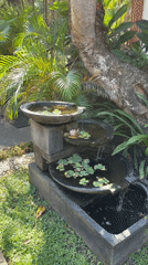 Morning moments captured at Denpasar resort property