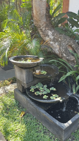 Morning moments captured at Denpasar resort property